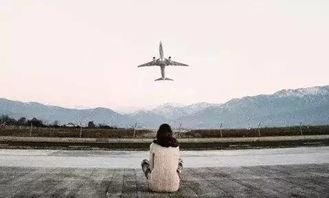 弃我者不可攀,终将无法攀上巅峰之路 第2张 弃我者不可攀,终将无法攀上巅峰之路 第2张