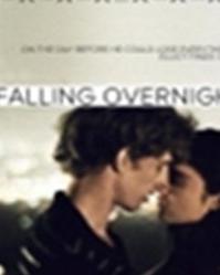 一夜钟情,缘分的瞬间邂逅