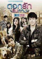 都是爱情惹的祸,揭秘“都是爱情惹的祸”背后的情感漩涡