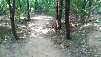 快活林,探寻人间仙境的隐秘角落 第2张 快活林,探寻人间仙境的隐秘角落 第2张