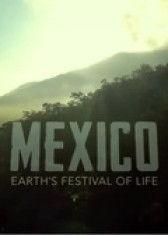 墨西哥:地球生命的狂欢,地球生命的狂欢盛宴 第2张 墨西哥:地球生命的狂欢,地球生命的狂欢盛宴 第2张