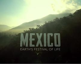 墨西哥:地球生命的狂欢,地球生命的狂欢盛宴 第3张 墨西哥:地球生命的狂欢,地球生命的狂欢盛宴 第3张