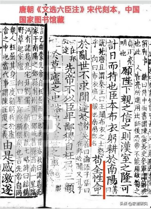 臣本布衣,一位平民的传奇人生  第2张