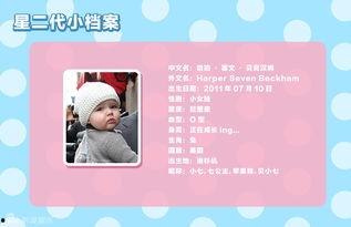 三位哥哥的掌心宠,三位哥哥的温馨守护之旅  第2张