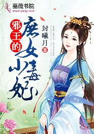 穿越王妃逆袭攻略,逆袭攻略全解析  第3张