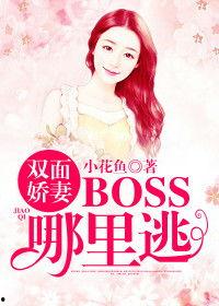 双面娇妻（谜爱双生）,谜爱双生，情感纠葛的浪漫旅程